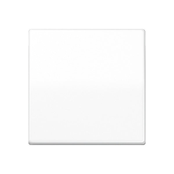 Jung AS500 Control Element/Central Plate Switchgear - AS591WW [2 Pieces] (anglais seulement)