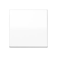 Jung AS500 Control Element/Central Plate Switchgear - AS591WW [2 Pieces] (anglais seulement)