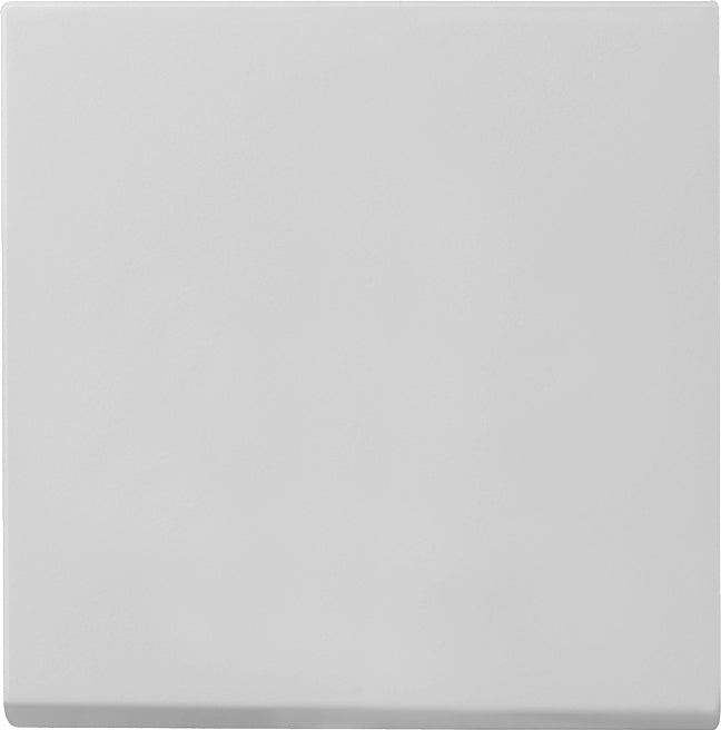 Gira System 55 Control Element/Central Plate Switchgear - 0296015