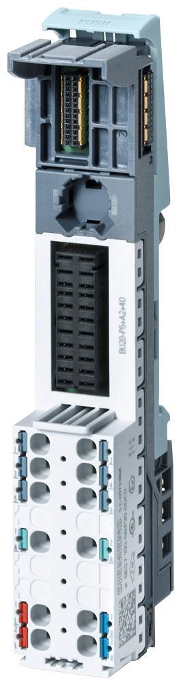 Siemens SIMATIC Fieldbus Dec Série PS Cadre de montage - 6ES71936BP200DC0