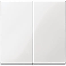 Schneider Electric Merten System M Élément de commande/Interrupteur à plaque centrale - MTN432519