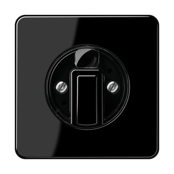 Jung CD500 - Élément de contrôle/appareil de commutation à Plaque centrale - CD1541SW