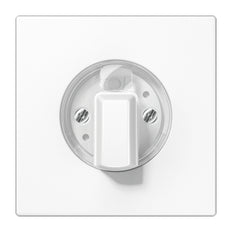 Jung LS990 - Élément de commande/appareil de commutation à Plaque centrale - LS1941WW