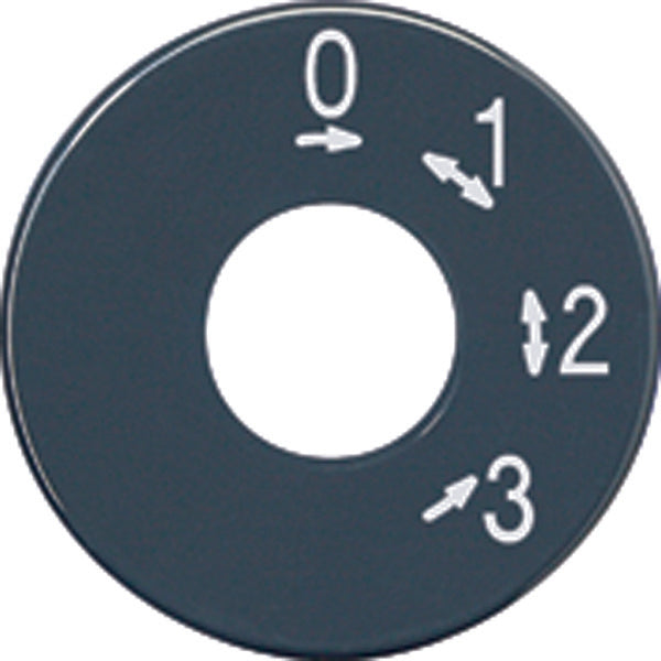 Élément de commande Jung/Interrupteur à plaque centrale - SKS1101-4 [5 pièces]