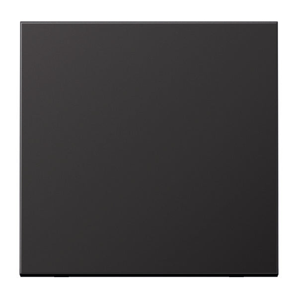 Élément de commande Jung/Interrupteur à Plaque centrale - AL2990D