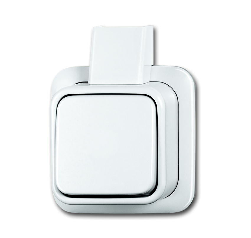 ABB Busch-Jaeger Surface-Mounted Standard Installation Switch - 2CKA001042A1027
