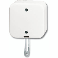ABB Busch-Jaeger Montage en Surface Standard Interrupteur D'installation - 2CKA001343A0146