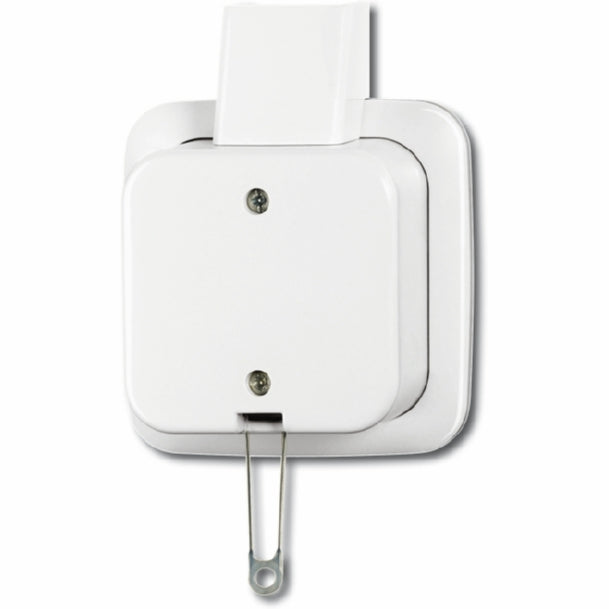 ABB Busch-Jaeger Montage en Surface Standard Interrupteur D'installation - 2CKA001343A0147