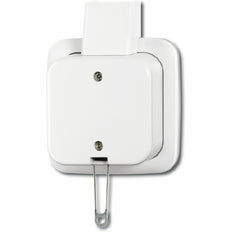 ABB Busch-Jaeger Montage en Surface Standard Interrupteur D'installation - 2CKA001343A0147