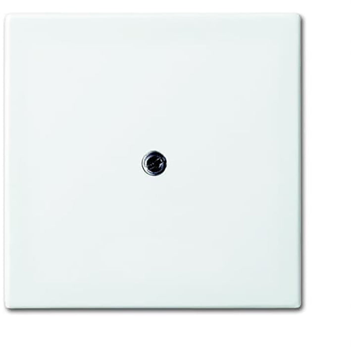 ABB Busch-Jaeger Balance SI Commutateur Plaque D'insertion - 2CKA001724A4338