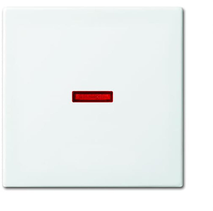 ABB Busch-Jaeger Control Element/Central Plate Switchgear - 2CKA001731A2016 [2 Pieces] (en anglais)