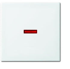 ABB Busch-Jaeger Control Element/Central Plate Switchgear - 2CKA001731A2016 [2 Pieces] (en anglais)