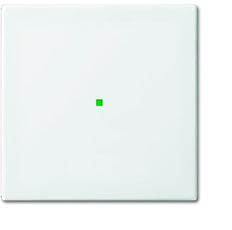 ABB Busch-Jaeger Busch-FreeAtHome Control Element/Central Plate Switchgear - 2CKA006220A0355 [2 Pieces] (en anglais)