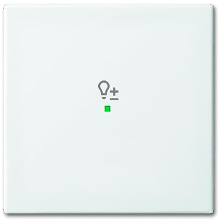 ABB Busch-Jaeger Busch-FreeAtHome Control Element/Central Plate Switchgear - 2CKA006220A0359 [2 Pieces] (en anglais)