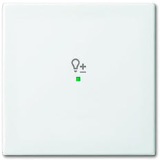 ABB Busch-Jaeger Busch-FreeAtHome Control Element/Central Plate Switchgear - 2CKA006220A0359 [2 Pieces] (en anglais)