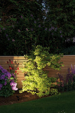 Luminaire de jardin/pieds Paulmann - 93696