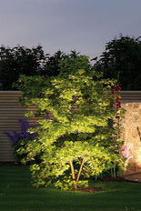 Luminaire de jardin/pieds Paulmann - 93696