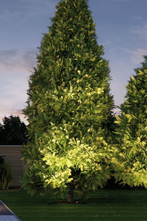 Luminaire au sol Paulmann - 93907