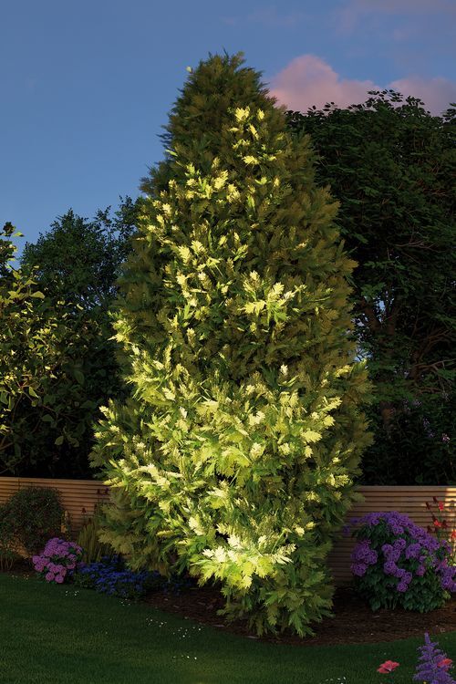 Luminaire au sol Paulmann - 93907