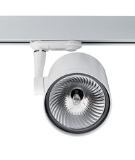 Concord Downlight/Spotlight/Floodlight - 2041882