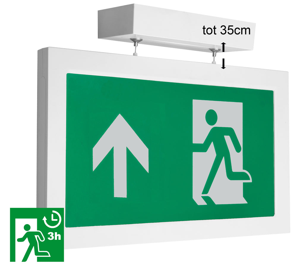 Luminaire De Secours Megaman - MM10487