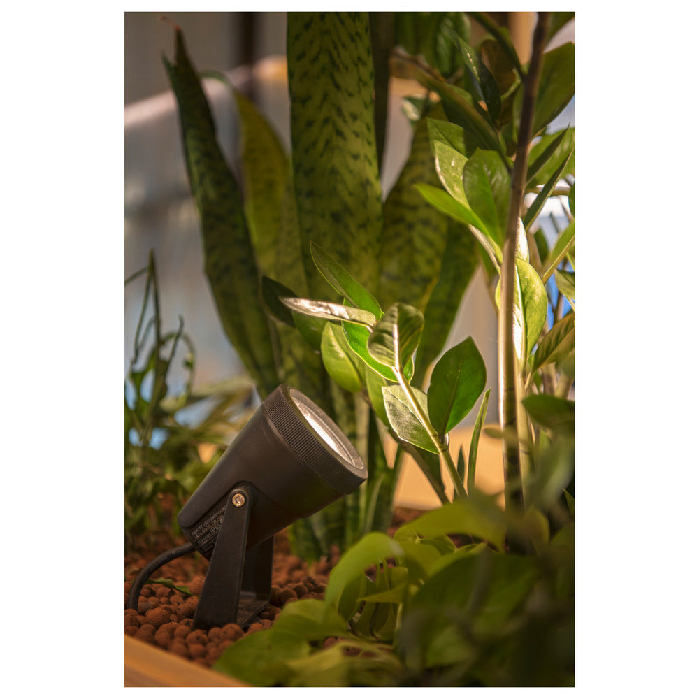 SLV Samrina Luminaire pour jardin/pieds - 1004757