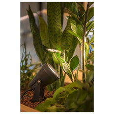 SLV Samrina Luminaire pour jardin/pieds - 1004757