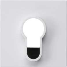 Gira System 55 Interrupteur à clé avec bouton sans impression blanc - 866403