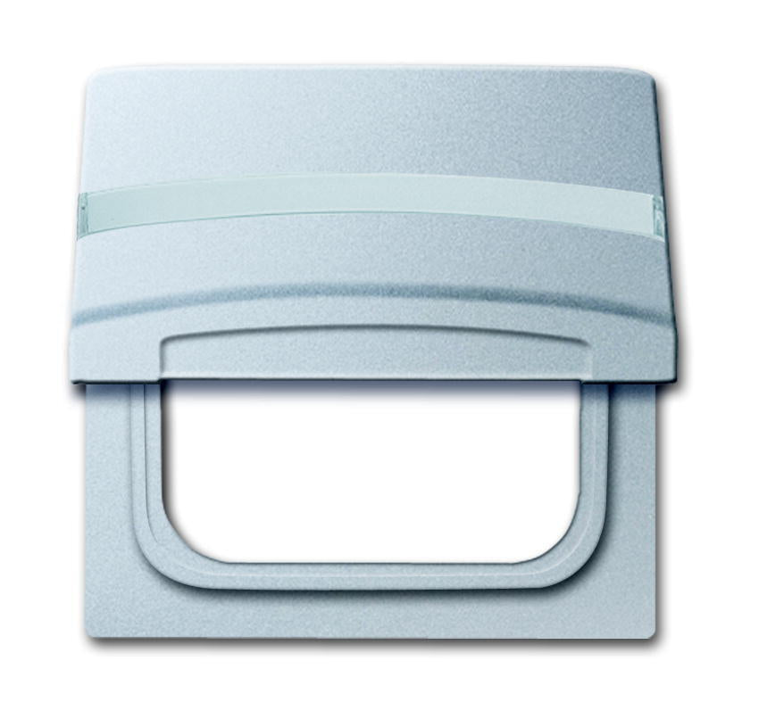 ABB Busch-Jaeger Plaque d'adaptation avec texte IP44 Aluminium - 2CKA001710A3787