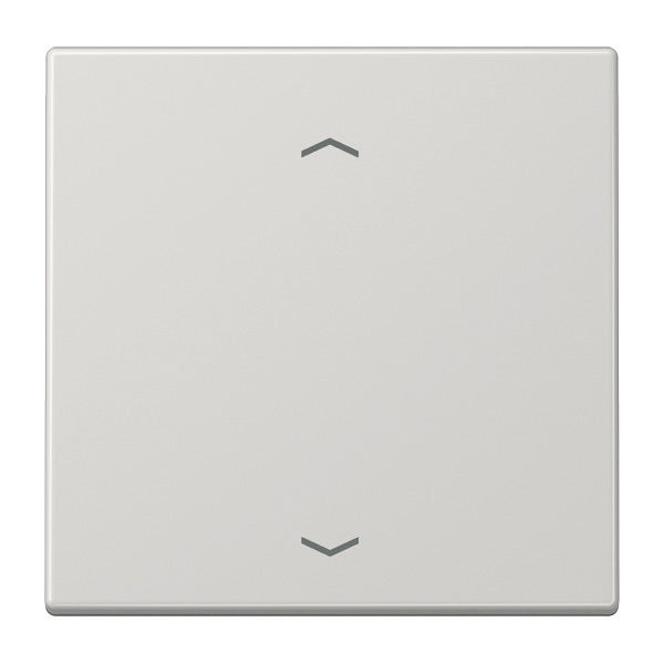 Emetteur mural sans fil Jung EnOcean avec symboles - ENOLS990PLG