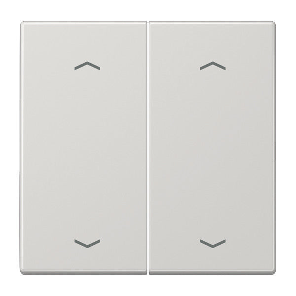 Jung EnO Funk Wall Transmitter LS990 4-Channel With Symbols - ENOLS995MPLG