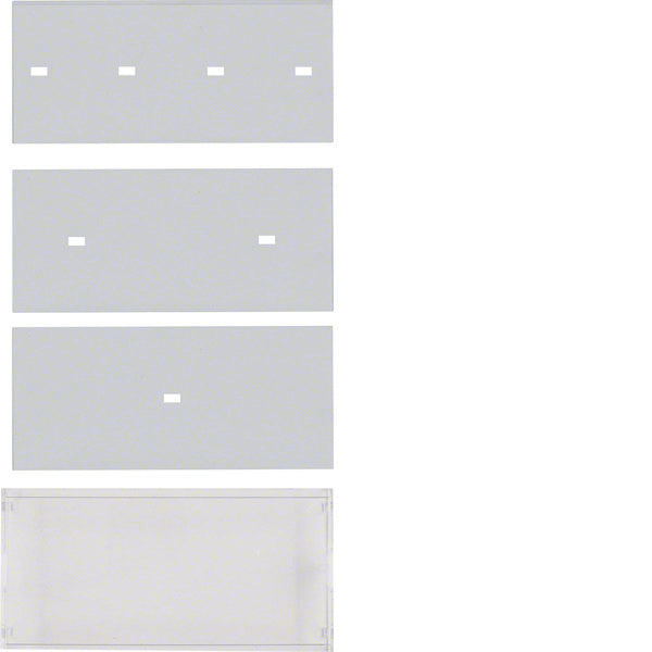 Hager Berker Clear Transparent Glass Label Field With Cover Plate B.7 - 75960009 [2 pieces]