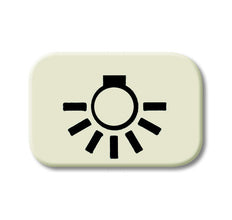 ABB Busch-Jaeger Fluorescent Light Symbol 2525 LI-10 - 2CKA001714A0299 [5 pieces]