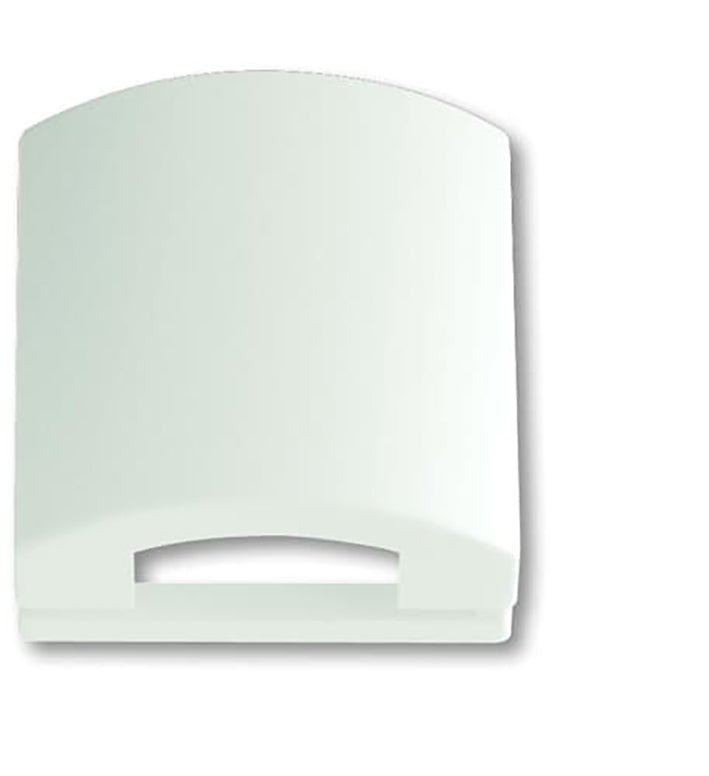 ABB Busch-Jaeger 50x50 plaque de recouvrement en blanc mat - 2CKA001710A3876