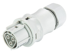 Wieland RST Classic Connector 3P Female - 96.031.0053.0