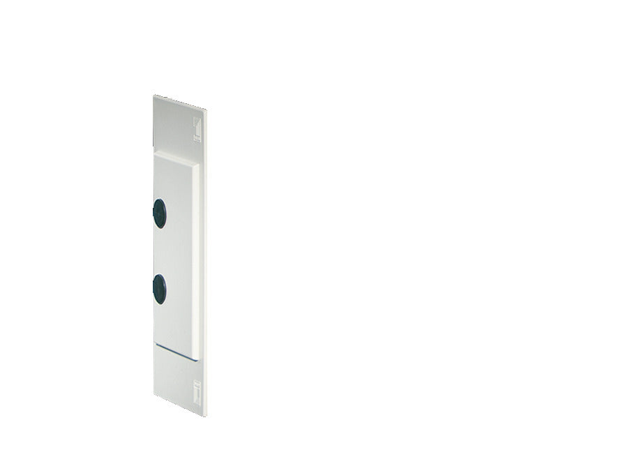 Rittal Mini PLS Capot Gris RAL 7035 - 9610000 [2 Pièces]
