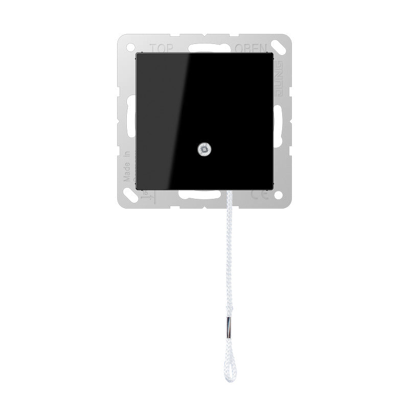 Jung A500 Interrupteur À Corde 10A 250V Noir - A506BFNUZSW