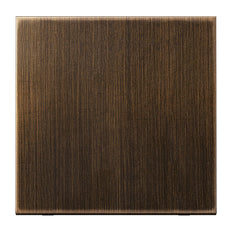 Jung LS Série Laiton Antique Capot De Contrôle - ME1700AT