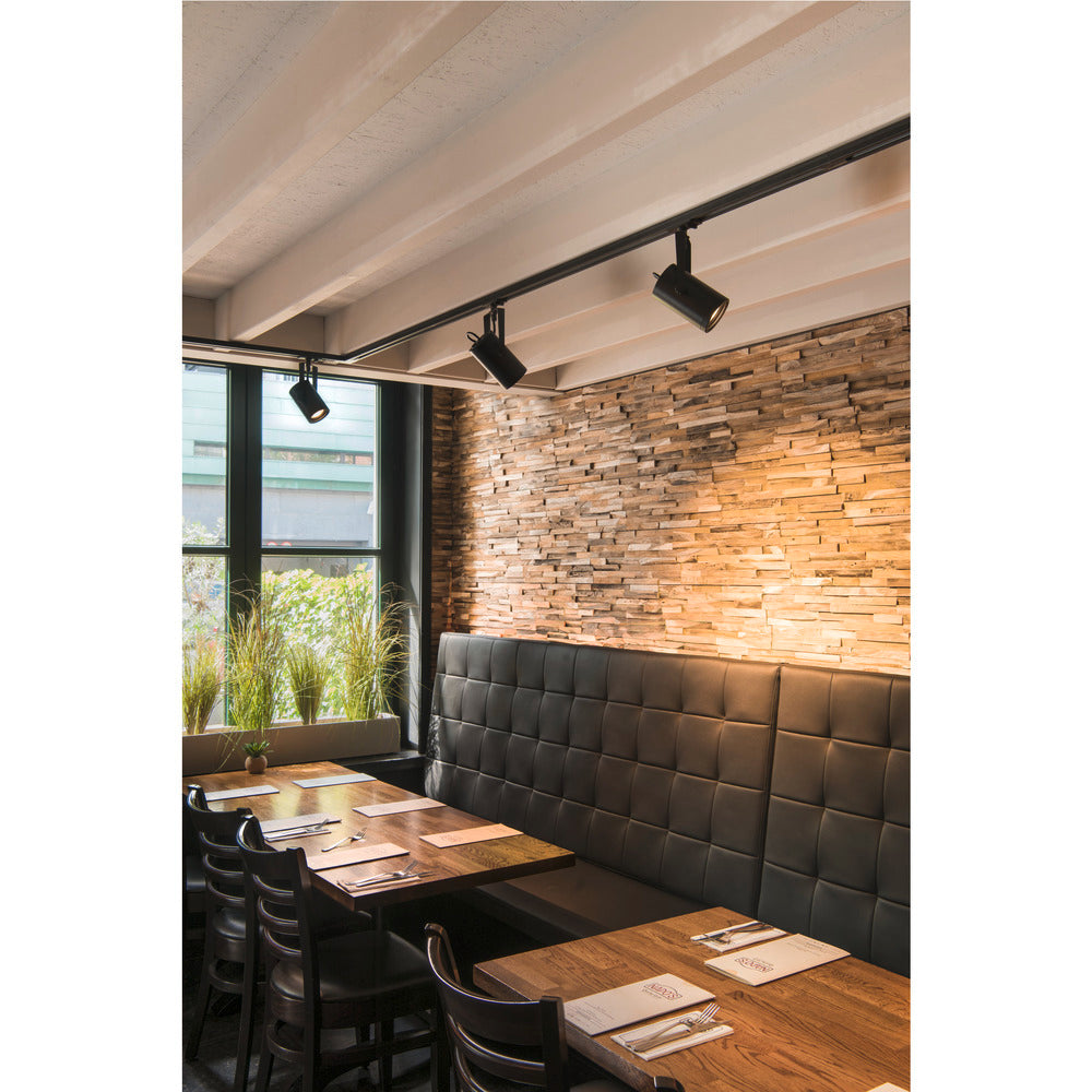 Slv Euro Spot Rail Noir Gu10 25W Circuit Unique - 1001861