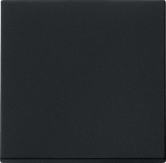 Gira Système 55 Interrupteur Tactile Rocker Noir Mat - 0916005