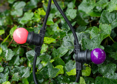 Bailey Led Boule De Fête G45 E27 1W Violet - 143329 [2 Pièces]