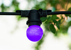 Bailey Led Boule De Fête G45 E27 1W Violet - 143329 [2 Pièces]