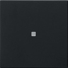 Gira Système 3000 BT Contrôle Intelligent Interrupteur Noir Mat - 5368005