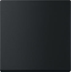 ABB Avenir Interrupteur Linéaire Intelligent Capot Noir Mat - 2CKA006730A0150