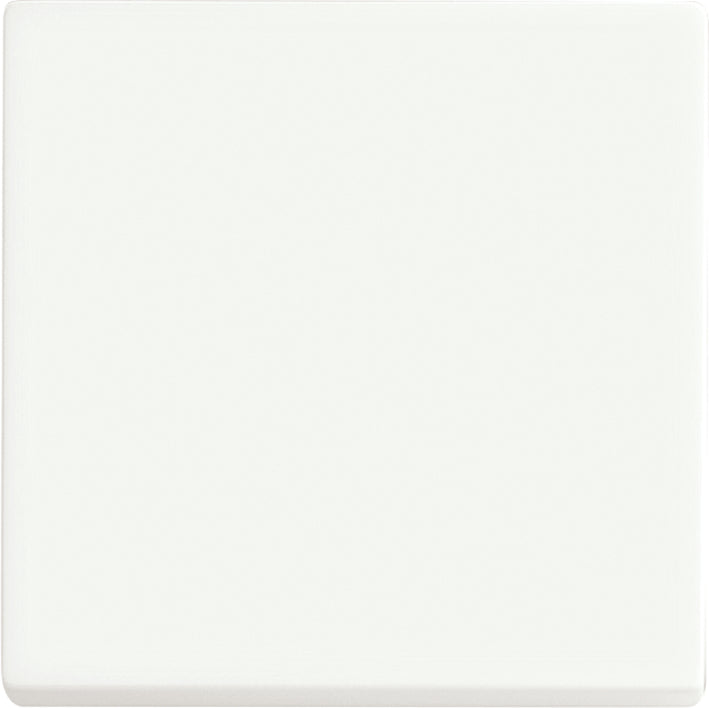 ABB Futur Interrupteur Linéaire Intelligent Panneau De Contrôle Mat Blanc - 2CKA006730A0149
