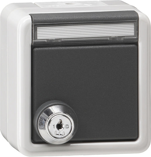 Gira IP44 Outdoor SCHUKO Socket With Lockable Cover - 456930