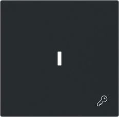 ABB Busch Clé Symbole Interrupteur À Bascule Capot Noir Mat - 2CKA001751A3380