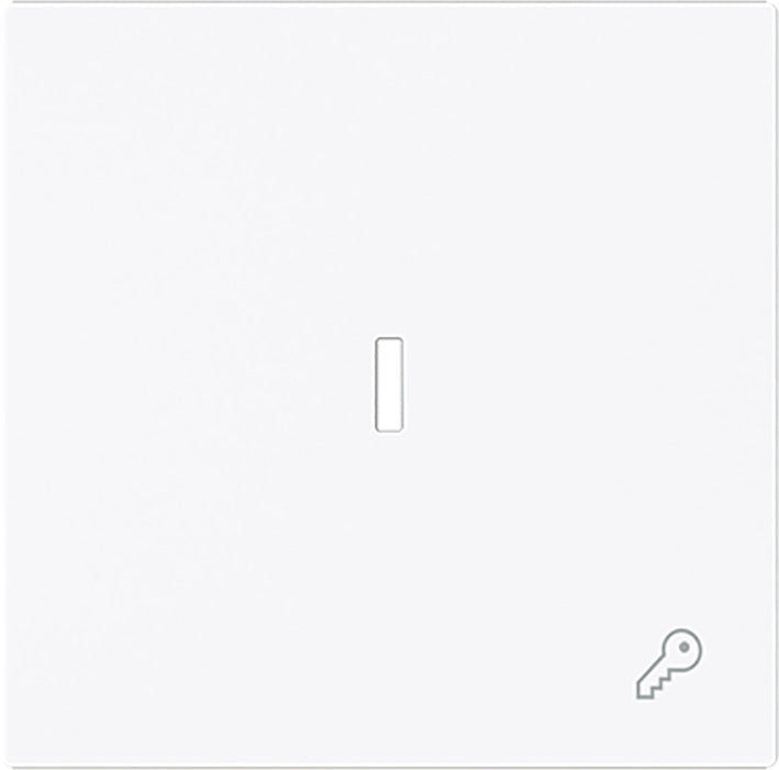 ABB Busch Interrupteur À Bascule Simple Avec Symbole De Clé Et Lentille - 2CKA001751A3377