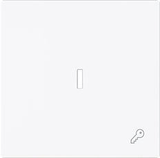 ABB Busch Interrupteur À Bascule Simple Avec Symbole De Clé Et Lentille - 2CKA001751A3377