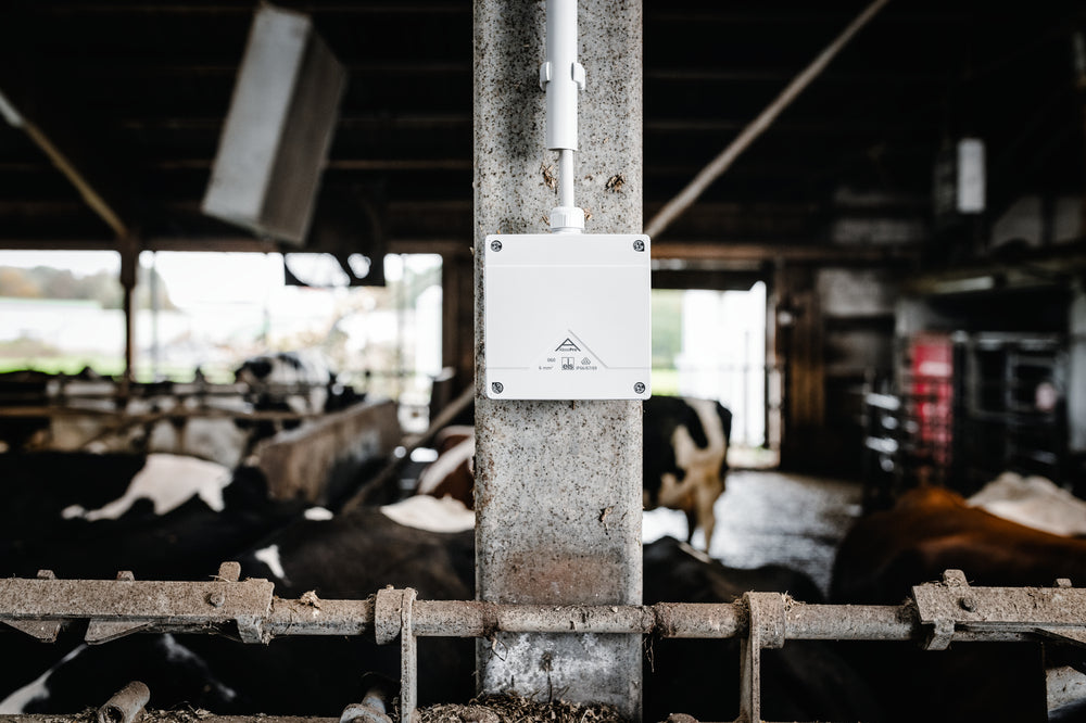 Boîte De Jonction Spelsberg Pro IP69 Noire - 40600001